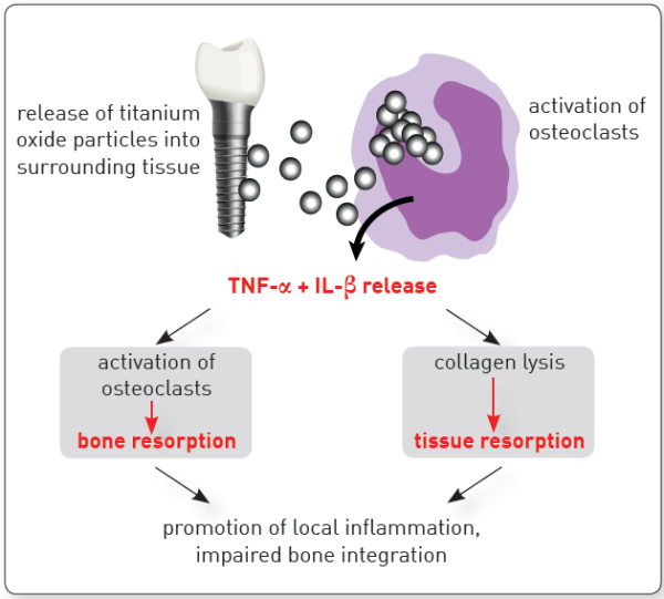Bone Resorbing Mediators